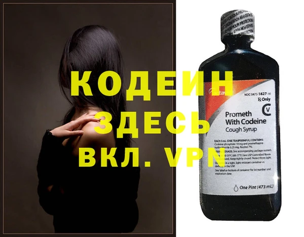 индика Михайлов