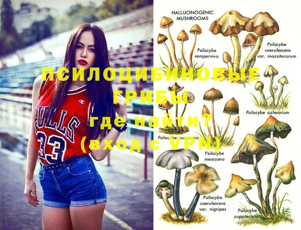 дурь Алексеевка