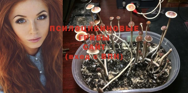 индика Михайлов