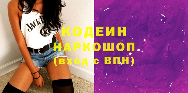 индика Михайлов