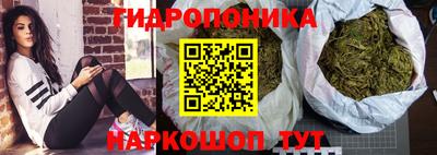 прущие грибы Ипатово