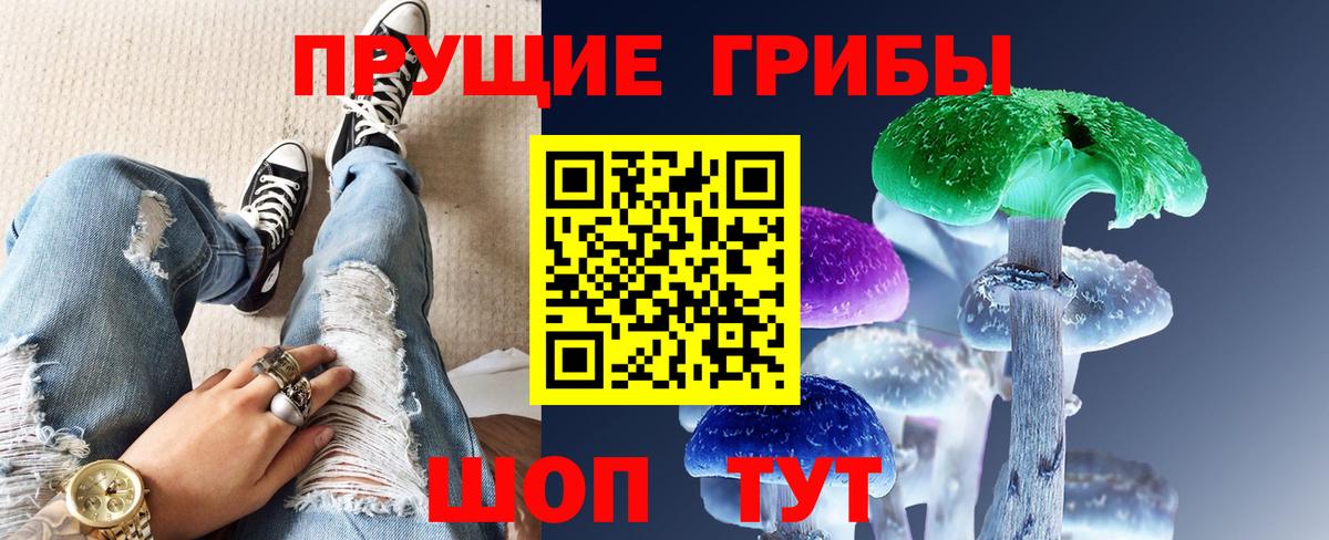 Галлюциногенные грибы Psilocybine cubensis  Вход с VPN  Псилоцибиновые грибы мицелий  Мытищи 